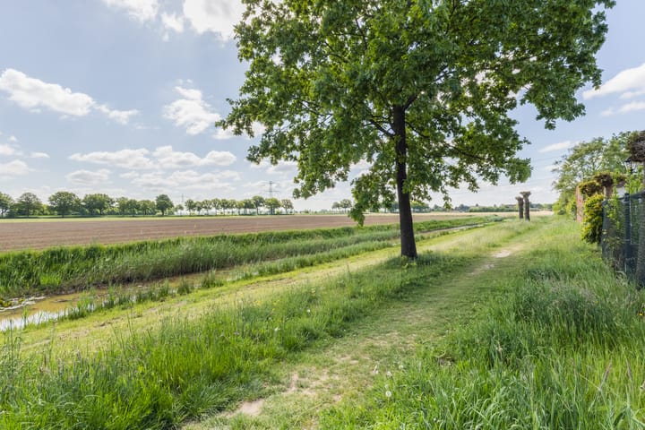 Foto 52 van de Lingert 5703