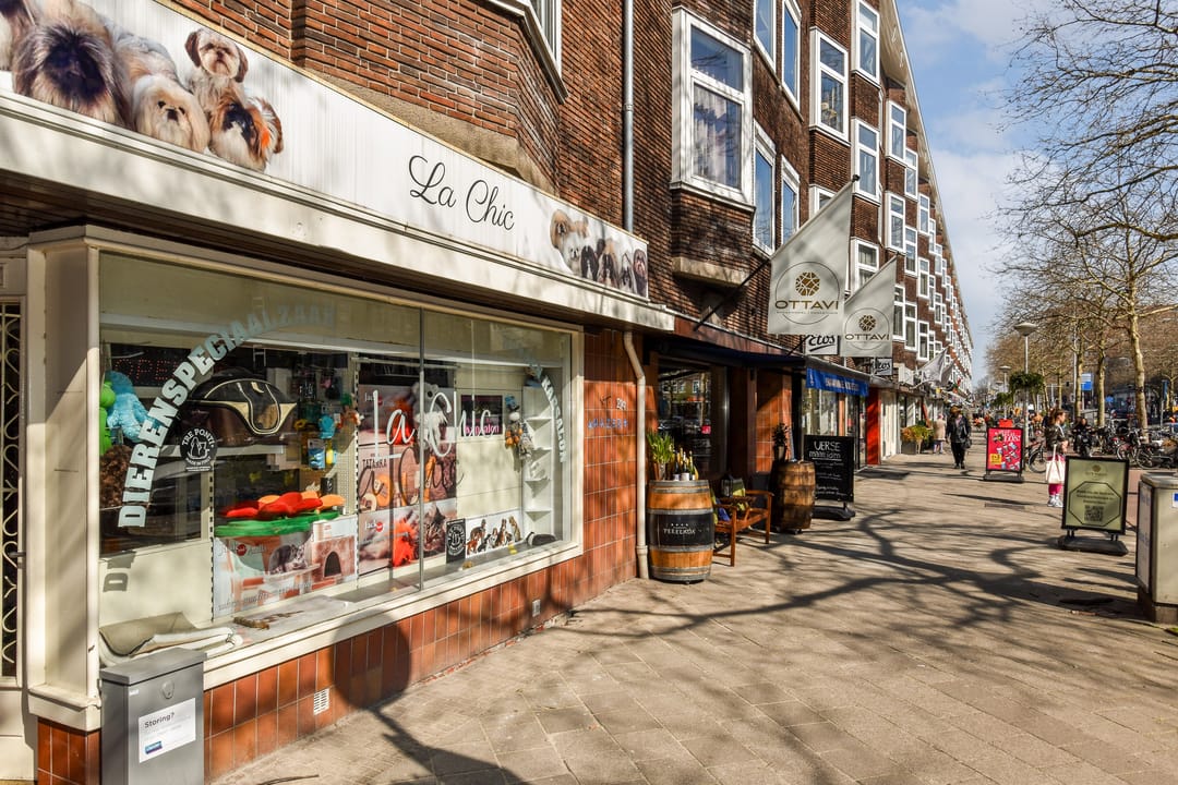 Foto 22 van Bloys van Treslongstraat 21-H