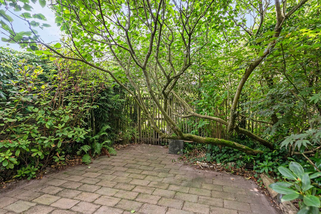 Foto 32 van Bosplaat 57