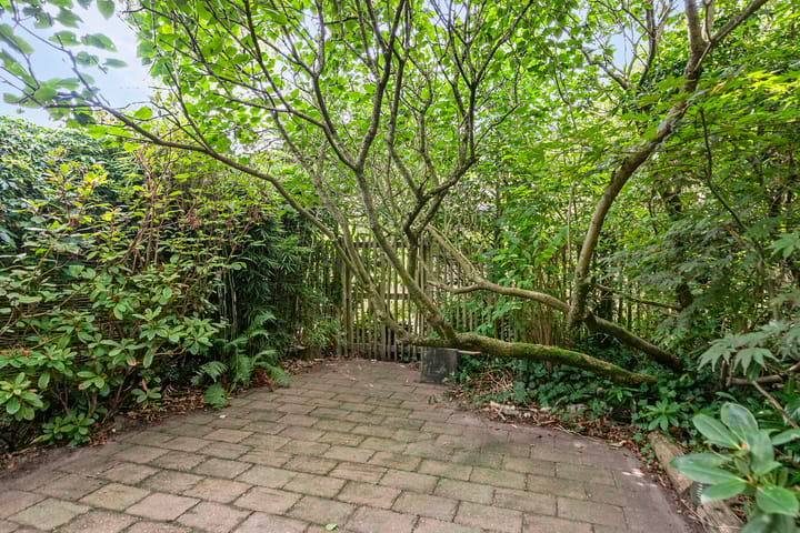 Foto 32 van Bosplaat 57