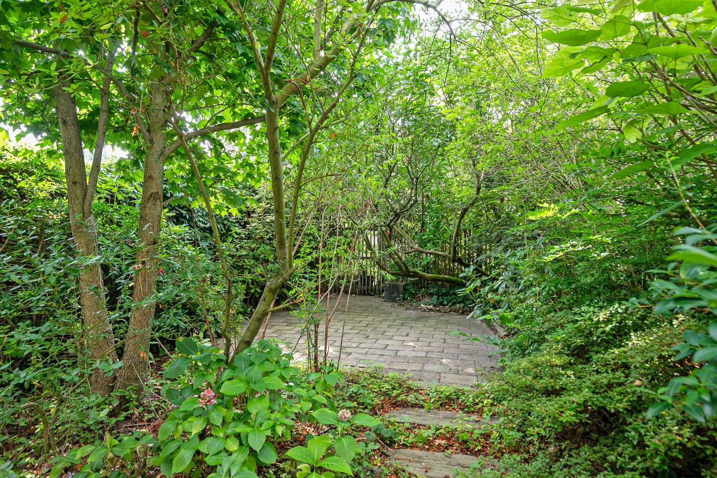 Foto 34 van Bosplaat 57