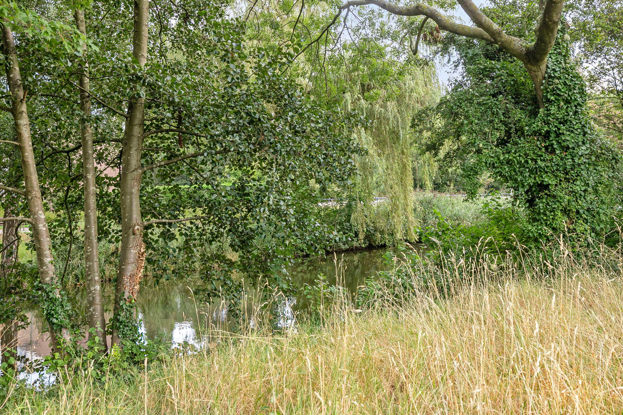 Foto 39 van Bosplaat 57