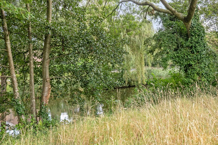 Foto 39 van Bosplaat 57