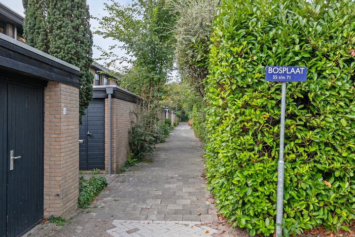 Foto 40 van Bosplaat 57