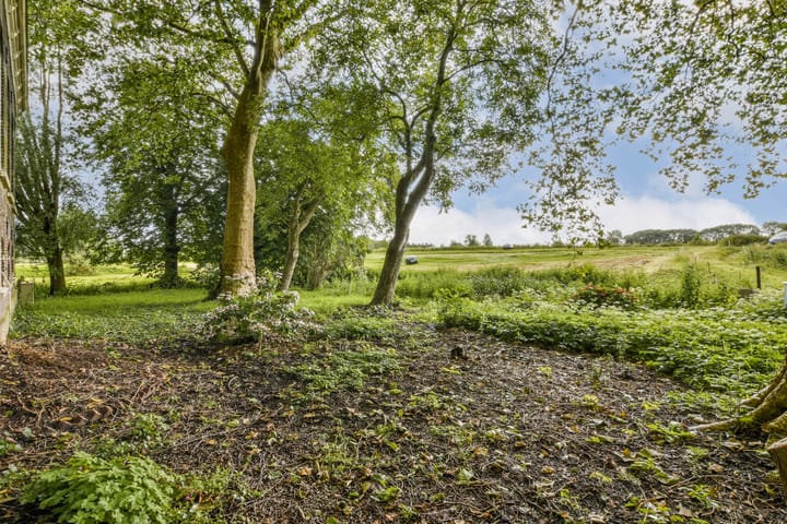 Foto 28 van Ringdijk BP 1