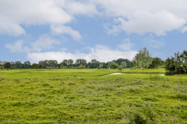 Foto 32 van Ringdijk BP 1