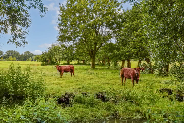 Foto 33 van Ringdijk BP 1