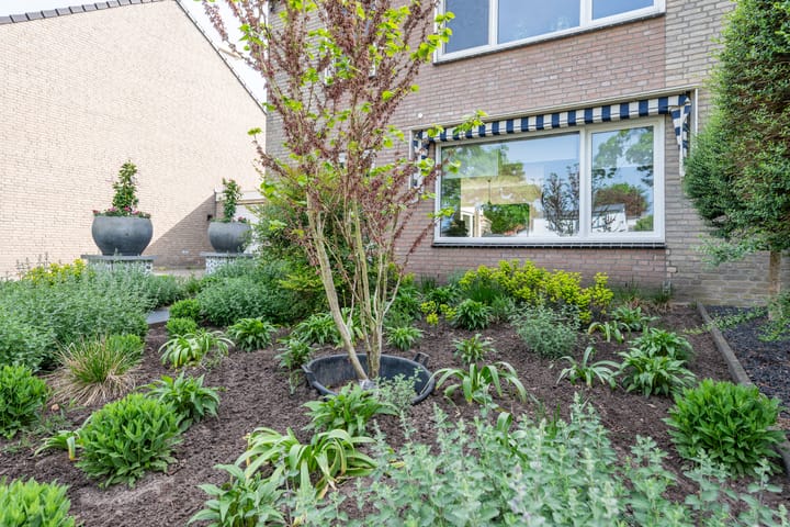 Foto 6 van ten Borchwardlaan 82