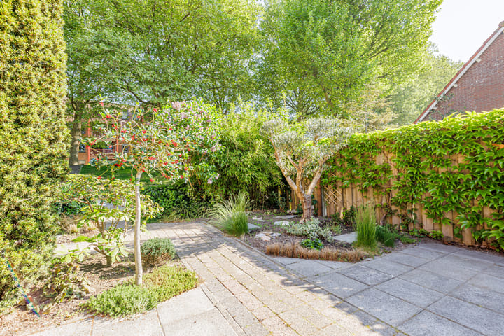 Foto 36 van Schenkeltje 19