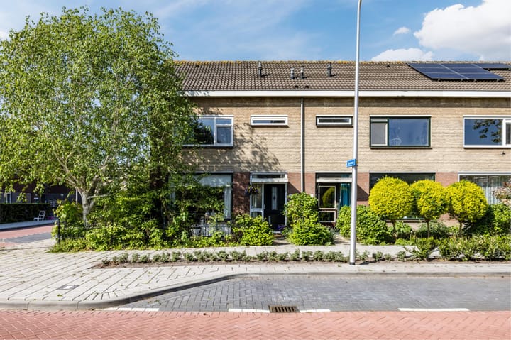 Foto 6 van Theeroos 1