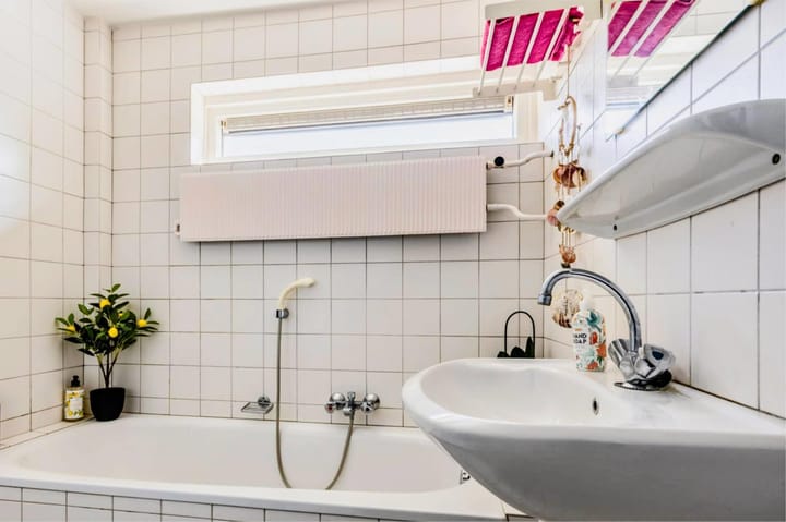 Foto 21 van Theeroos 1