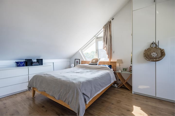 Foto 24 van Theeroos 1