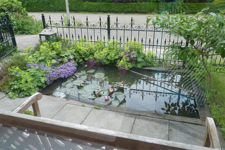 Foto 31 van Theeroos 1