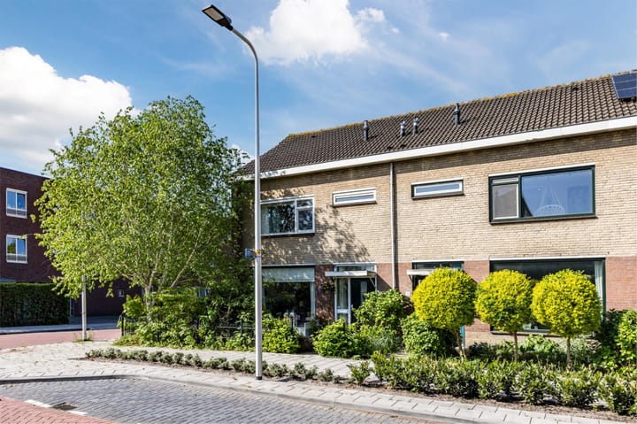 Foto 34 van Theeroos 1