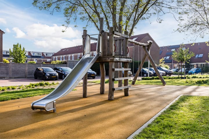 Foto 35 van Theeroos 1