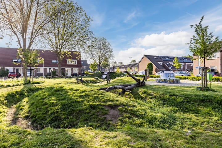 Foto 36 van Theeroos 1