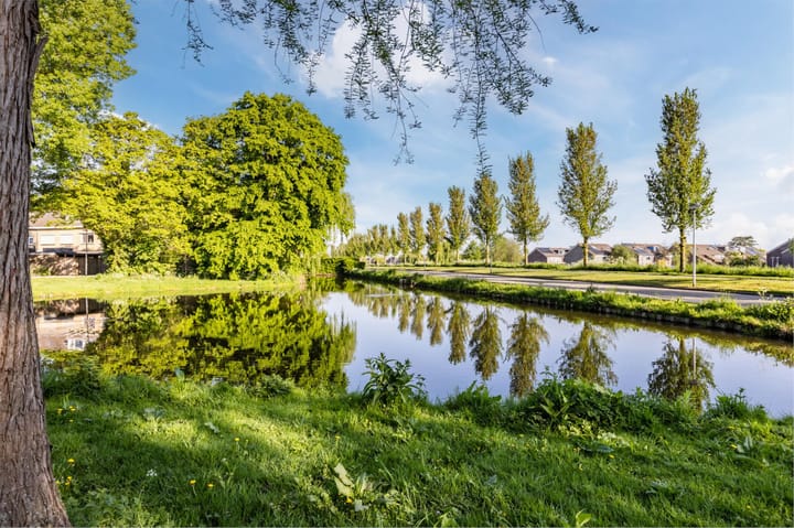 Foto 37 van Theeroos 1