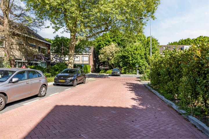 Foto 39 van Theeroos 1