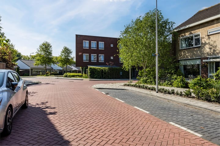 Foto 40 van Theeroos 1