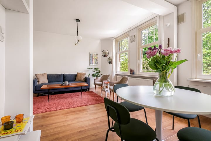 Foto 2 van Geuzenstraat 41-3