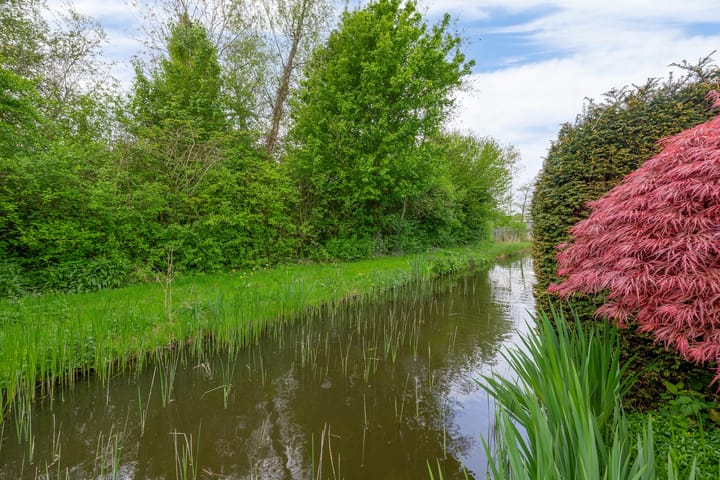 Foto 33 van Kastanjelaan 43