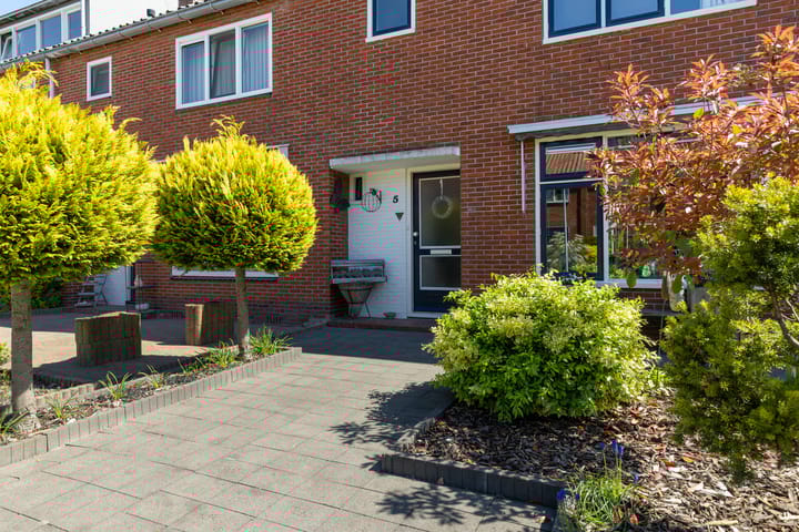 Foto 19 van Ippiusstraat 5