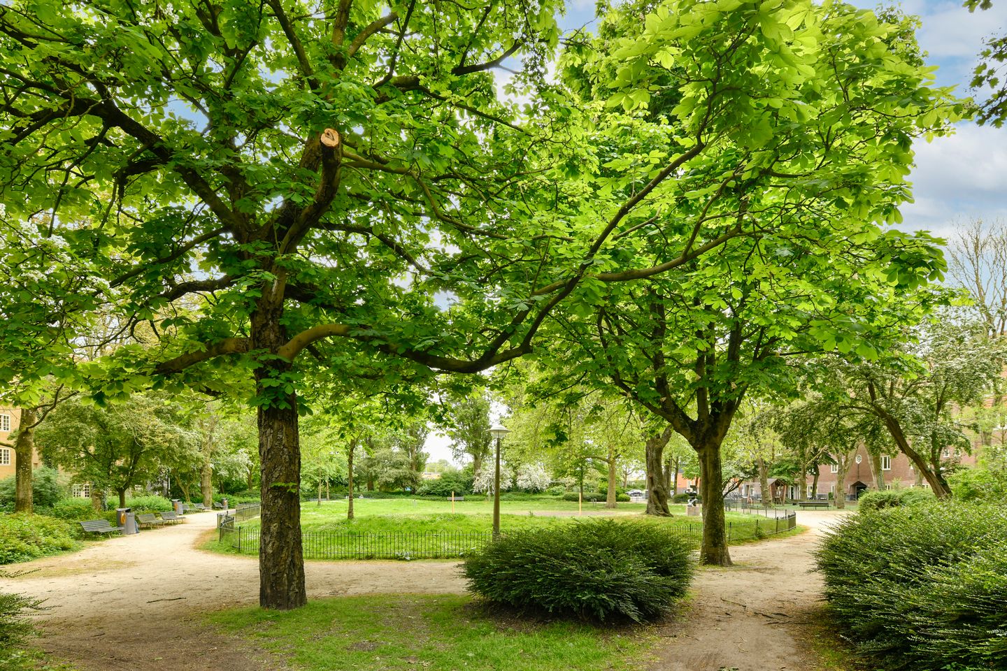 Foto 29 van Polanenstraat 80-D