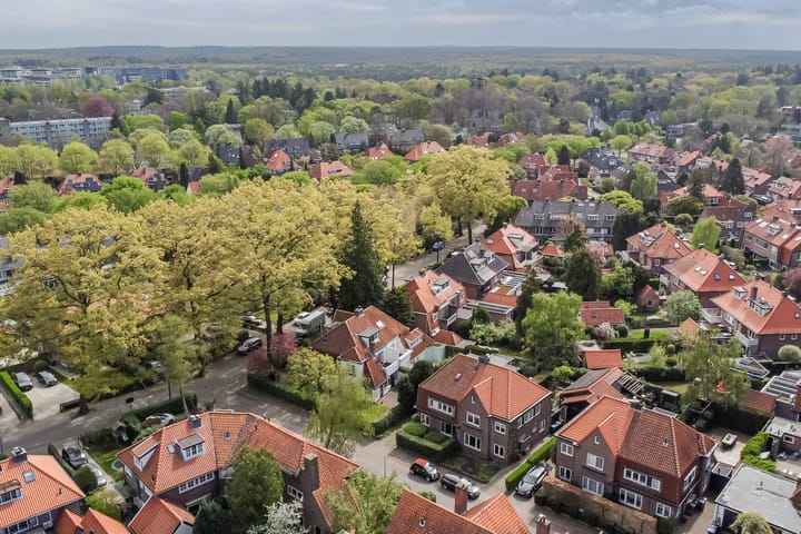 Foto 56 van Frans van Mierislaan 22