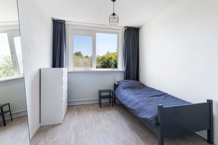 Photo 21 of Schopenhauerstraat 255