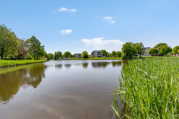 Photo 50 of Betje Wolffstraat 12