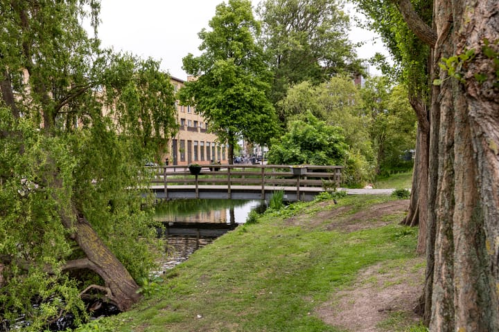 Foto 23 van Lusthoflaan 45