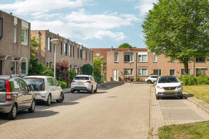 Foto 6 van Inktvisplein 34