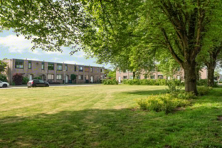 Foto 52 van Inktvisplein 34