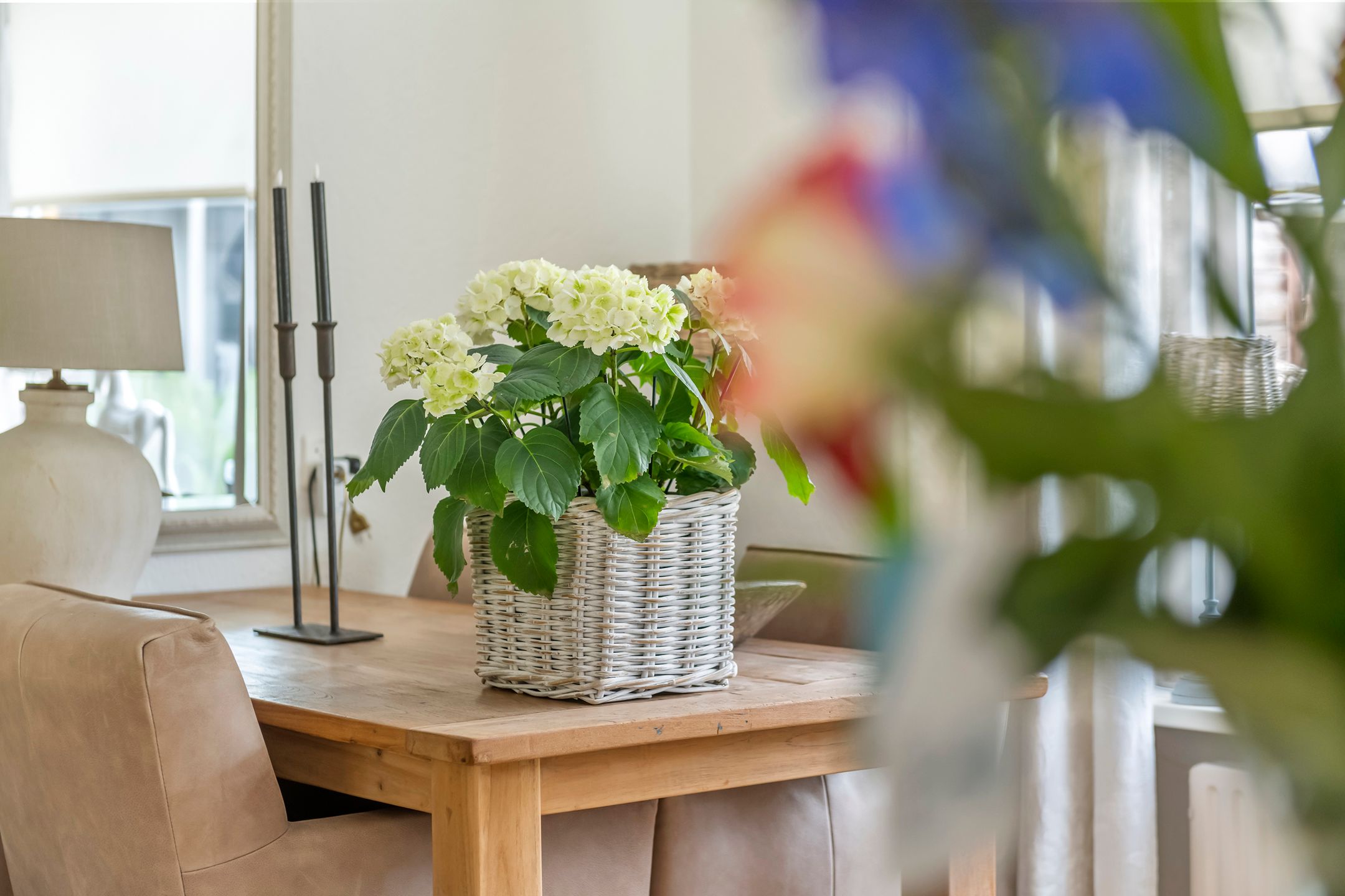 Foto 24 van Hofplein 40