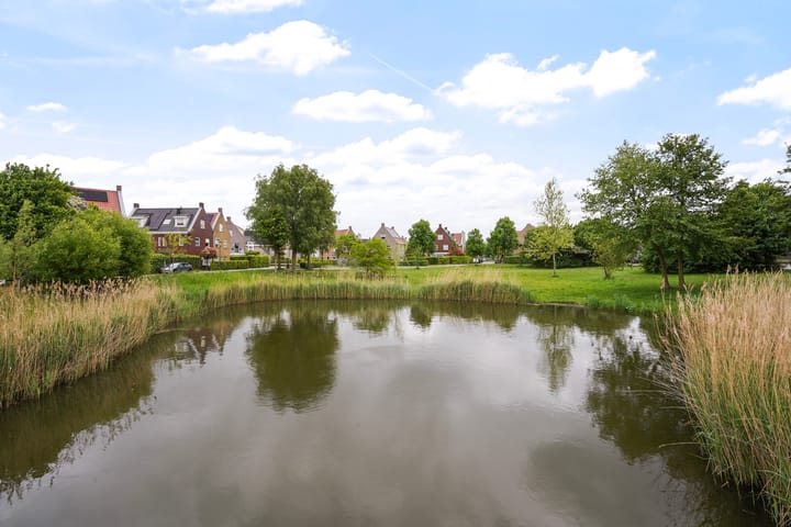 Foto 41 van Shetlandpad 14