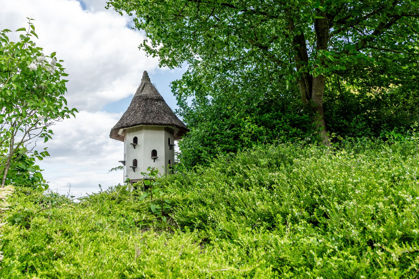 Foto 55 van Lange Zuiderweg 118