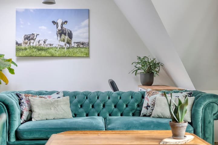 Foto 6 van H. Hartplein 17-C