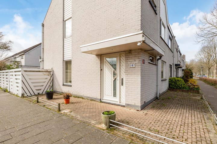 Foto 9 van Eduard van Beinumstraat 107