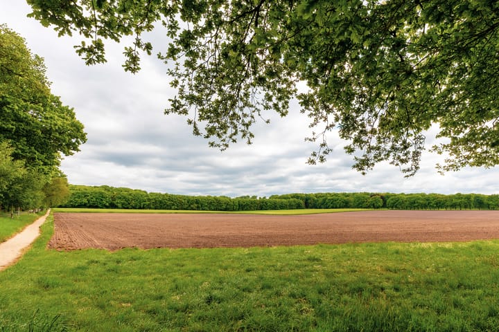 Foto 37 van Wilbrennincklaan 5