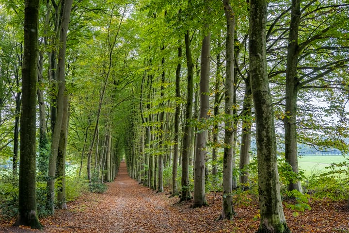 Foto 39 van Wilbrennincklaan 5