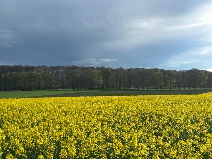 Foto 42 van Wilbrennincklaan 5