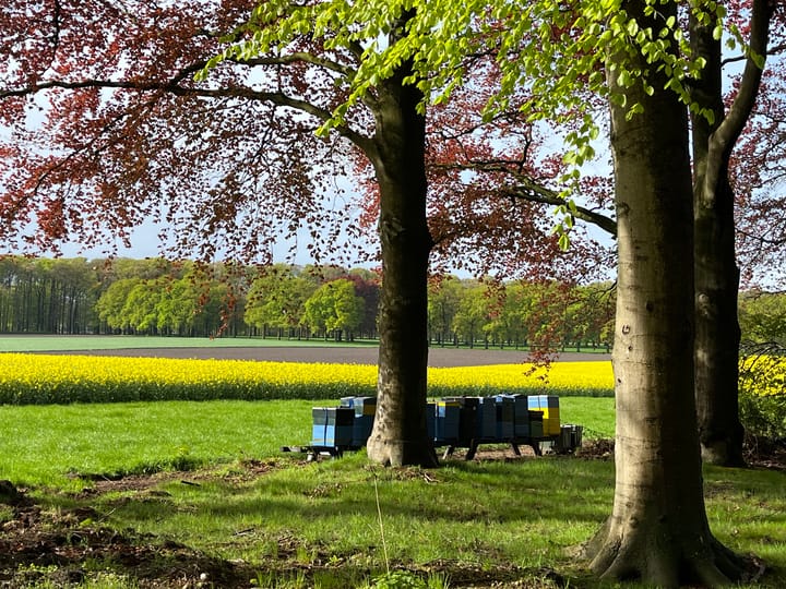 Foto 43 van Wilbrennincklaan 5