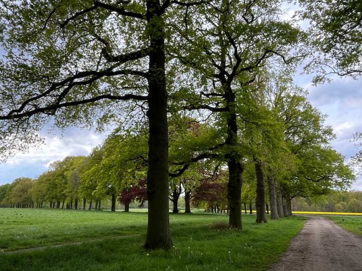 Foto 44 van Wilbrennincklaan 5