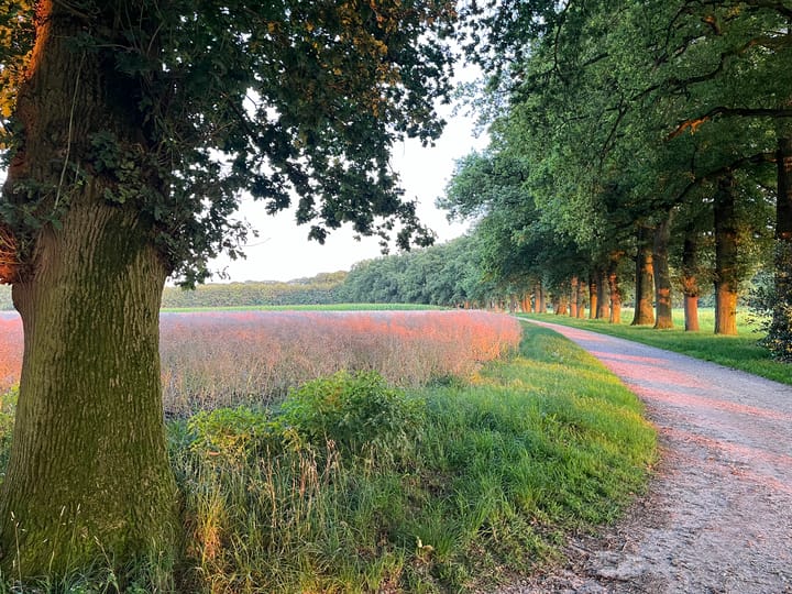 Foto 45 van Wilbrennincklaan 5