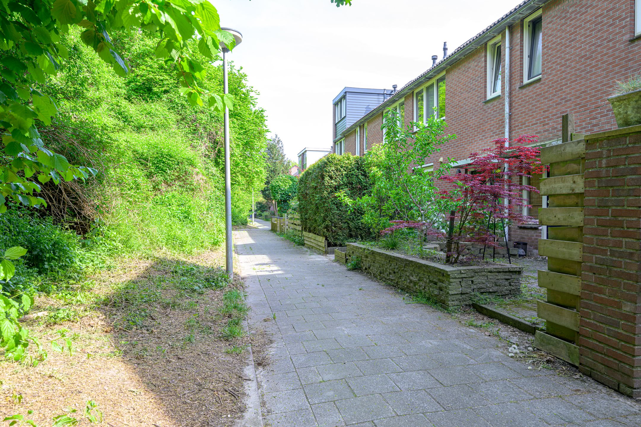 Foto 36 van Zandkreek 41