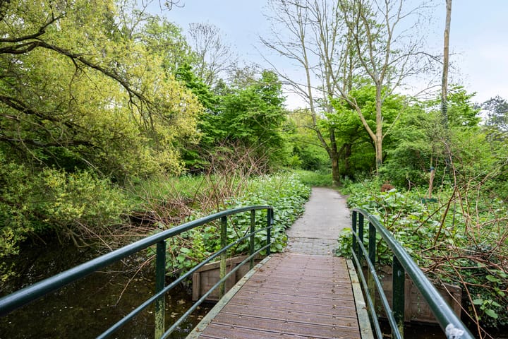 Foto 28 van Beetsstraat 321