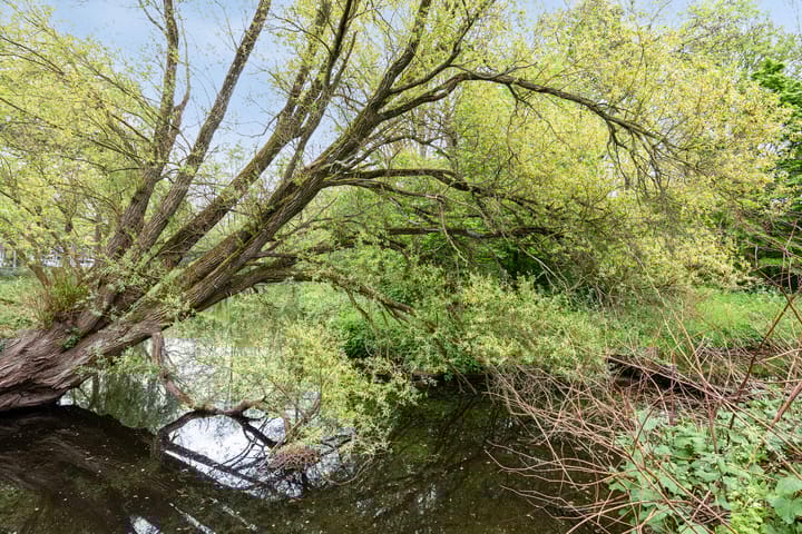 Foto 30 van Beetsstraat 321