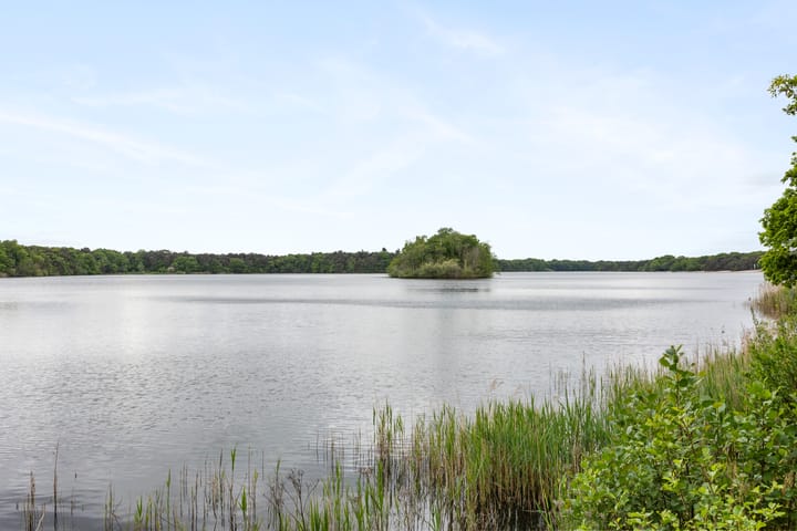 Foto 34 van Paulusstraat 14