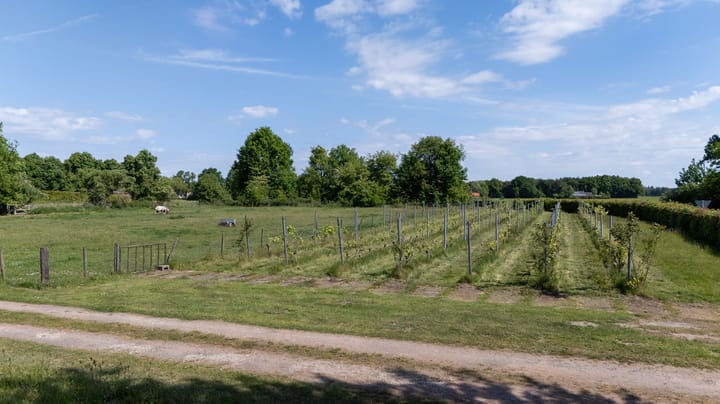 Foto 74 van Worsumseweg 14