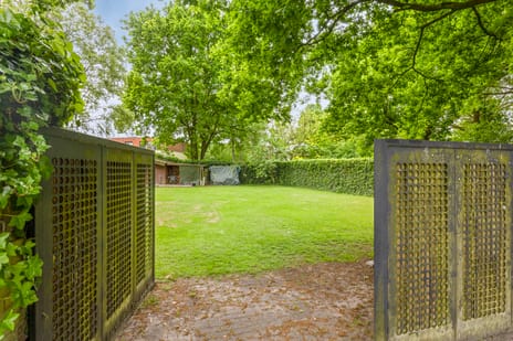 undefined main image